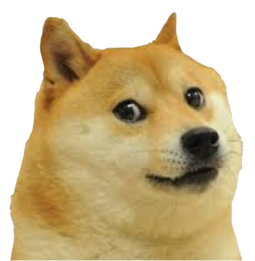 Doge